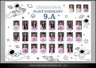 ZS 46